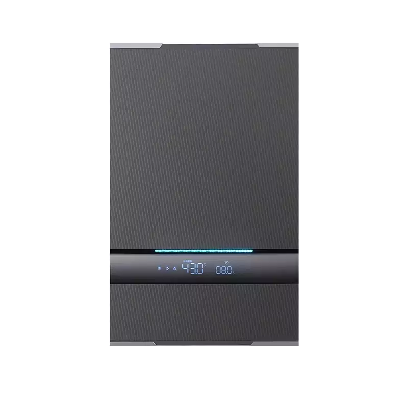 WL38   forced-exhaust-water-heater