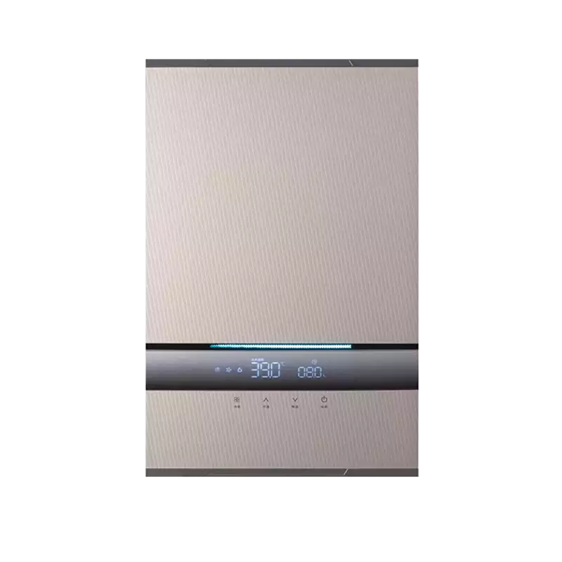 WL36   forced-exhaust-water-heater