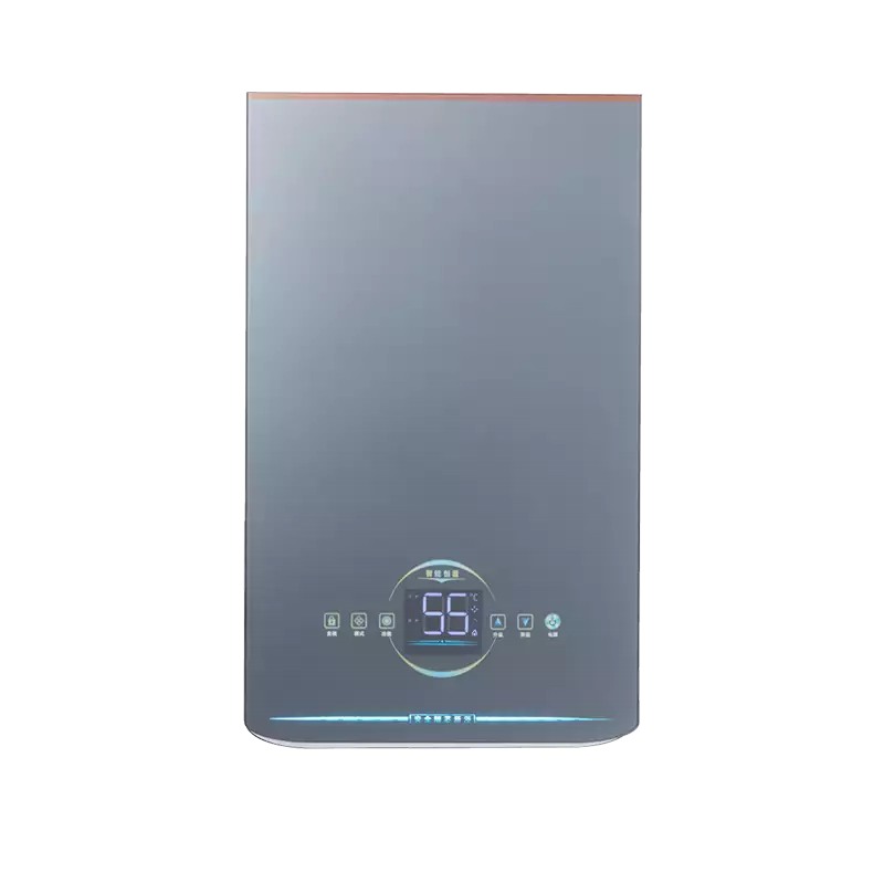 WL861   forced-exhaust-water-heater